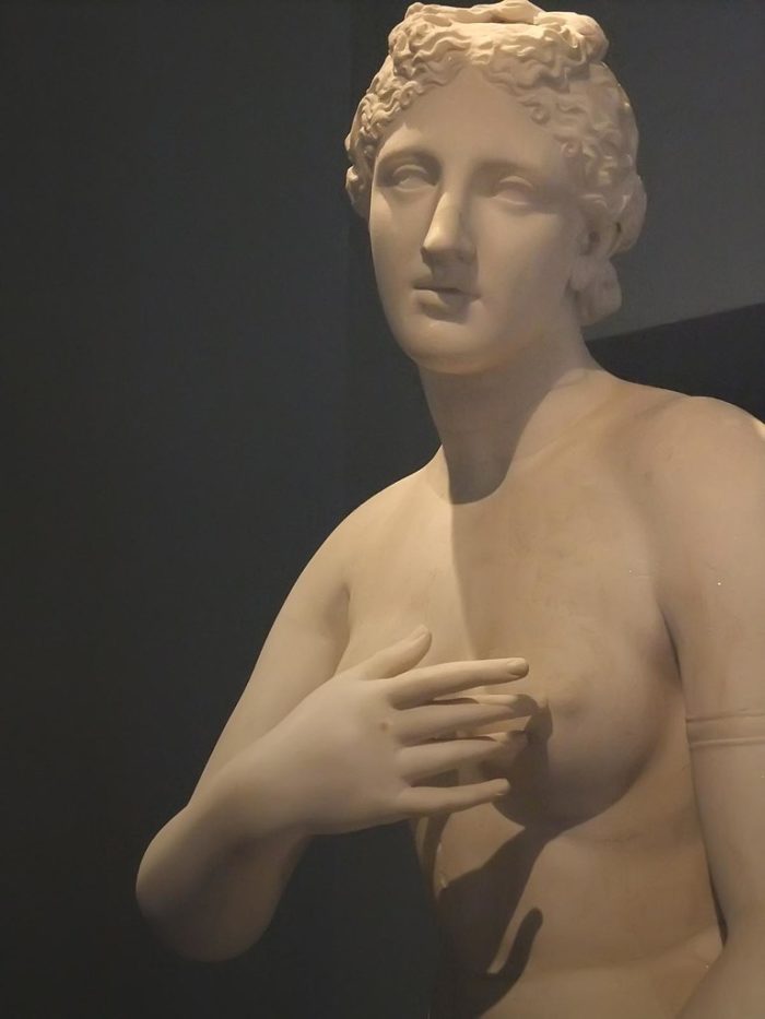 Venus de’Medici Statue (2)